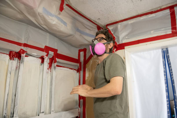 Mold Odor Removal Services in Ewa Villages, HI