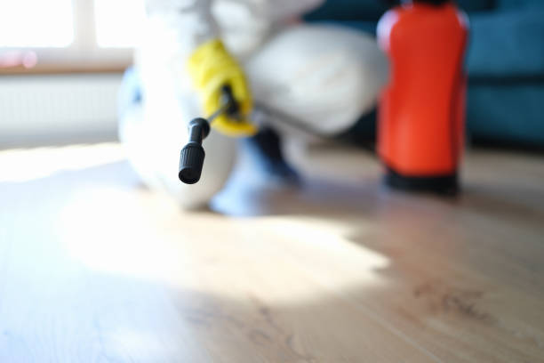 Best Mold Prevention Services  in Ewa Villages, HI