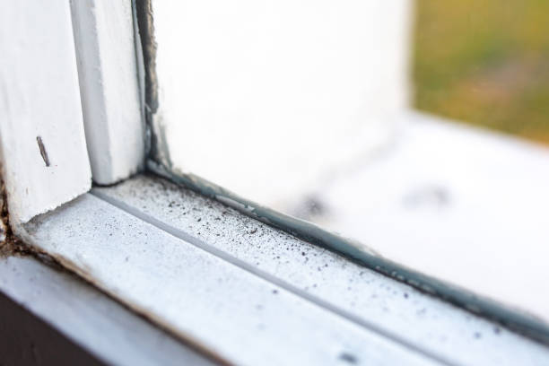 Best Mold Odor Removal Services  in Ewa Villages, HI